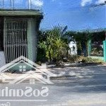 Cần ra nhanh lô đất gần đường trịnh như khê, bình chánh, 545 triệu, 115m2, shr, gần chợ, ubnd