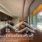 Cho thuê nhà vườn khu nam long quận 7