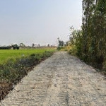 10.000m2 đất có đường hiển thị xã bình hoà bắc giá rẻ chỉ 2,5 tỷ, lh 094.990.9694
