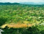 Fam hill bảo lộc diện tích 150m2 giá bán 429,000,000đ, 250m2 giá bán 579,000,000đ thổ cư 100%