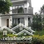 Tổng hợp quỹ căn biệt thự - nhà phố ecopark cần bán gấp giá hợp lý nhất hiện tại ạ!