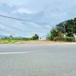 Chính chủ bán đất sau đường nam kỳ khởi nghĩa - giá chỉ 710 triệu - sẵn sổ