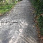 2 lô đất liền kề ấp vĩnh hoà 3, xã vĩnh hoà hưng nam, kiên giang giá chỉ 400 triệu/ lô