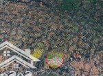 Bán đất nền king hill, đối diện eco retreat 220ha - long an, chiết khấu 10%, sổ sẵn, giá từ 1.99 tỷ