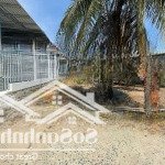 Cơ hội cuối cùng sở hữu đất dân cam tân giá dưới 1 tỷ!