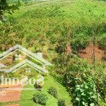 đón đầu cao tốc tân phú bảo lộc chỉ với 750 triệu, đất thổ cư, sổ sẵn, tiềm năng sinh lời cao