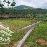 Lô đất 531m2 có 400m thổ cư tại đồng chằm - đông xuân - quốc oai - hn
- mặt tiền hơn 10m bám trục c