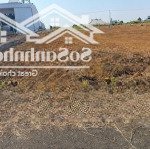 Chính chủ bán gắp 1,5 tỷ - đất nền đường nguyễn trãi, p2, tp.bảo lộc 131,2 m2