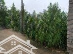 Lô đất 2 mặt tiền trước sau, mỗi mặt 8m tản lĩnh, ba vì, hn. cách tl87a chỉ 500m, gần mọi tiện ích