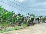 Duy nhất lô góc 2 mặt tiền siêu đẹp diên an diên khánh cách đường lầu ông huyện chỉ 30m