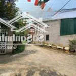 Cần bán gấp đất nở hậu trung tâm thành phố lào cai