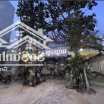 Bán biệt thự siêu đẹp 914m2 dương quảng hàm,gò vấp giá 91,4 tỷ. thương lượng