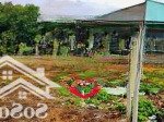 Ngộp bán nhanh lô đất 250m2 ở 1/ ql22 - xã tân thông hội củ chi - giá: 2 tỹ chẵn - gọi 0335801717