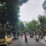 Pl cổ linh long biên kd víp vị trí kim cương kinh doanh đỉnh cao đầu tư ngon chủ nhiệt b,,án