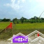 đất nền 125m2 full thổ ngay hậu nghĩa - tt hành chính đức hòa, long an.