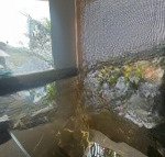 Biệt thự nguyễn thị thập ngay phú mỹ hưng chỉ 39.9 tỷ