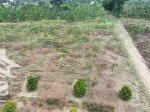Bán đất đẹp 20x45m, mặt tiền bê tông, xã láng lớn, châu đức, br-vt giá chỉ 1.8 tỷ