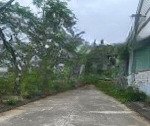 đất đẹp 109m2 mặt tiền đường rộng 11m, gần sông, sát phố cổ hội an, giá rẻ bán nhanh!