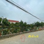 Chính chủ cần bán gấp 4 lô ngay cạnh đường bộ ven biển hải phòng