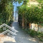 Bán đất tại diên toàn, 1,25 nghìn vnd, 100,1 m2, pháp lý đầy đủ (100m thổ cư)