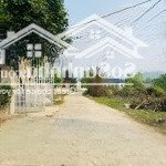 Bán đất thị trấn đại đình, huyện tam đảo giá rẻ. sổ đỏ cc