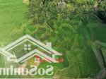 đất nghỉ dưỡng 1ha giá quá rẻ tại lương sơn, hoà bình