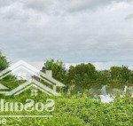Em lấy chồng sớm, bán đất 3000m2 - giá hời - lấy tiền làm của hồi môn