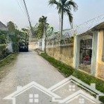 Chỉ 520tr có ngay lô đất tại ngũ đoan (kiến hưng ) kiến thụy 81,7mv