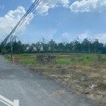 Bán đất 110m2 thổ cư chỉ 520tr ở tập đoàn 8, bình chánh, hcm. ngay chợ bình chánh. shr, full thổ.