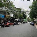 Siêu phẩm mặt phố lê thị hồng gấm. cầu ông lãnh. q1 - gpxd : hầm 8 tầng ( 6 x 15m ) nở hậu - 64 tỷ