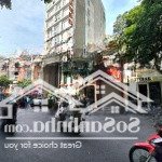 Nhà ngộp mt mạc đĩnh chi dakao quận 1 5,5x40m - 5 tầng 65 tỷ
