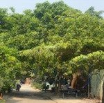 đất biệt thự biển xuân thiều sát nguyễn an ninh | 127m2, ngang 9.2m nổi bật