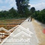 Bán đất tại hà long, 650 triệu, 130m2, thanh hóa