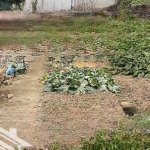 Bán đất đồng nhân , hải bối , đông anh, 185m2, ô tô tránh _kinh doanh .0912.237.306