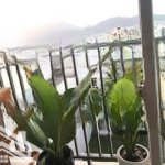 Bán căn hộ ct3 khu đô thị vcn phước hải