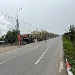 Bán đất võ nguyên giáp, mai đình, sóc sơn, hà nội, 3,8 tỷ, 100m2 hàng hiếm tại giá tốt