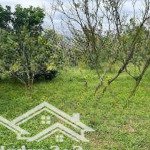 Rẻ nhất tiến xuân
cần bán 1800 m thổ cư 200 còn lại là đất vườn - - tại tiên xuân thạch thất - xu