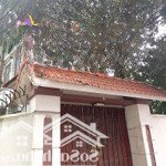 Giá sốc ! bán gấp biệt thự yên vĩnh 172m2*3t (gần kđt hinode royal park) nhà 3 thoáng, ô tô vào cửa