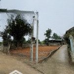 Bán 259m2 đất chính chủ tại yên bình, thạch thất, hà nội