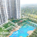 Bán căn 2pn+ view hồ bơi lớn nhất dự án . tại vinhomes grand park.
