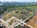 Trump dìm giá 10 lô nam rạch chiếc 80m2 giá ngộp 10 tỷ 990, kèo so găng căng thẳng 2025