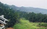 Bán trang trại khu nghỉ dưỡng tại lương sơn, 35 tỷ, 44000 m2, uy tín, hot!