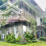 Gia chủ cần chuyển nhượng căn biệt thự song lập ecopark, view công viên