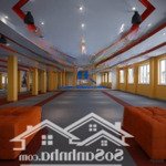 Cho thuê mặt bằng kinh doanh phố tô hiệu vị trí đắc địa, dtsd 800m2 thông sàn, có chỗ để xe