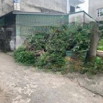 Bán lô đất 55m2 cự khối ngõ thông oto 4 chỗ vào dtmb:55m2 mt:4,5m vuông hai mặt tiền khổ