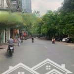 Cực hiếm - đất phân lô ngã 4 hồ tùng mậu, cầu giấy, xây toàn văn phòng & ở 115m2, mt 5m nhỉnh 25 tỷ