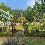 Cơ hội sở hữu farmstay giá rẻ chỉ trong 30 ngày! giá 3,5 tỷ nay còn 2,6 tỷ