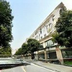Giảm giá cắt lỗ - quỹ căn song lập 150m2 - giá 30 tỷ