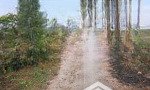 Chính chủ cần bán đất vườn có nhà và điện nước đầy đủ