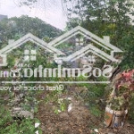 Bán đất đẹp 100m full thôn đạc tài -mai đình .sổ đẹp giao dịch nhanh